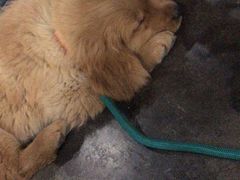 -陈氏肥蛤(小纬六路总店)