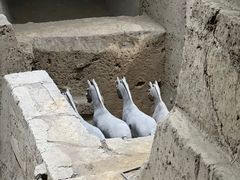 -秦始皇帝陵博物院(兵马俑)