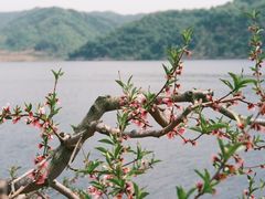 -河口景区