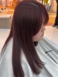 -东方麒麟·潘多拉SALON