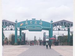 -荷兰花海