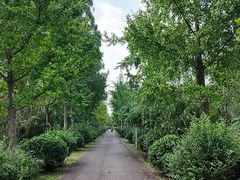 -白鹭湾湿地公园