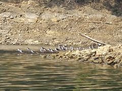 -千岛湖湖人皮划艇俱乐部