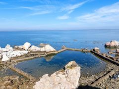 -养马岛旅游度假区