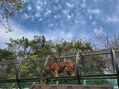 -宁波野生动物园