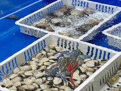 -明本湛江鸡•海鲜小厨(陈家祠店)