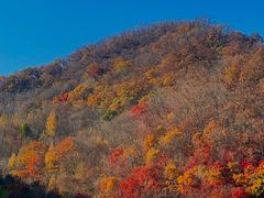 -天女山森林公园