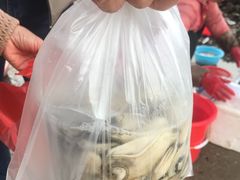 -文昌铺前老街