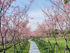 -福建鲤鱼洲酒店