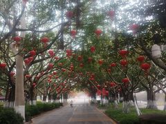 -厦门大学(思明校区)