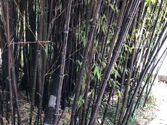 -南诏风情岛