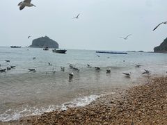 -棒棰岛宾馆景区
