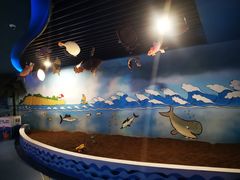 -沙沙哗啦海洋馆(华宇百花谷店)