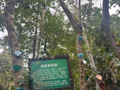 -呀诺达热带雨林