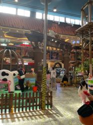 -卡通尼·Safari非洲探索乐园·生日会(金桥国际商业广场店)