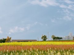 -三圣花乡旅游区