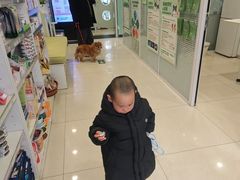 -悦宠凯宝动物医院·牙科·皮肤科(朝阳北路店)