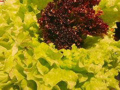 生菜小料-原始泥炉烤肉(总店)