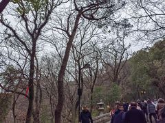 -灵岩山风景区