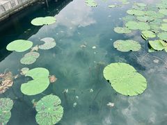 -南北湖风景区