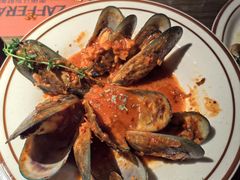 -ZAFFERANO西班牙海鲜饭(上海首店)