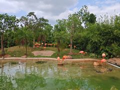-海南热带野生动植物园