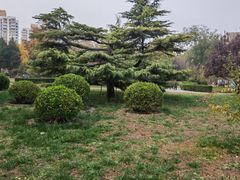 -方庄体育公园