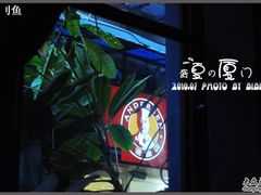 -赵小姐的店(鼓浪屿三友店)