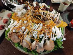 -巴倒烫陆派火锅山庄(南山总店)