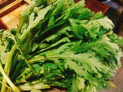 野生茼蒿-小龙坎火锅(双林店)