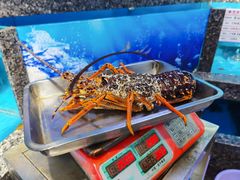 -宝燕海鲜(好爱店)