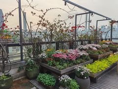 -冰冰龙虾·江湖菜·花园江景餐厅