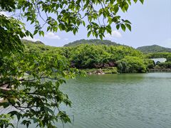 -白马涧龙池景区