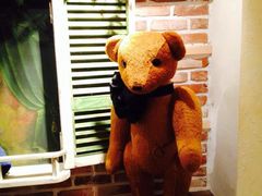 -济州岛泰迪熊博物馆