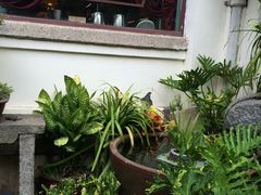 景观位-鼓浪屿牌馅饼(博物馆店)