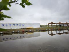 -春花秋色城市公园