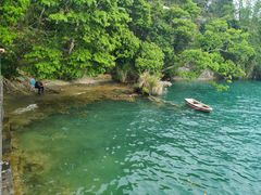 -金盆阿嬷香菇茶叶蛋(玄光店)