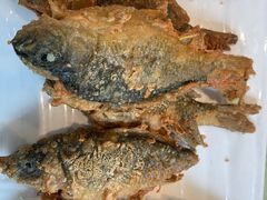 -小北江河鲜(新城店)