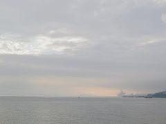 -演武大桥观景平台