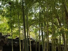 -秋霞圃