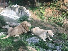 -石家庄市动物园