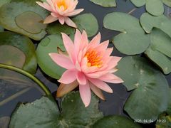 -广州国际生物岛