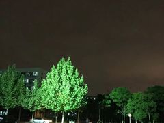 -彤德莱火锅(大学城店)