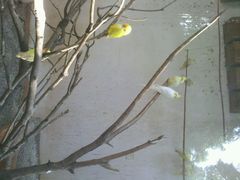 android_upload_pic-昆明动物园