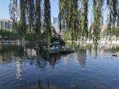 -团结湖公园