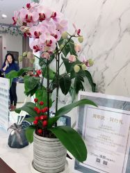 -上海漾颜医疗美容