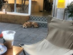 -大青树咖啡(大理古城店)