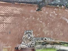 -青藏高原野生动物园