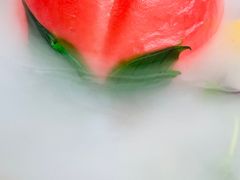 -梧桐