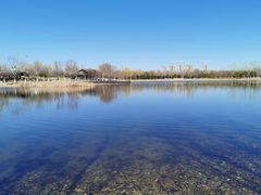 -永定河休闲森林公园